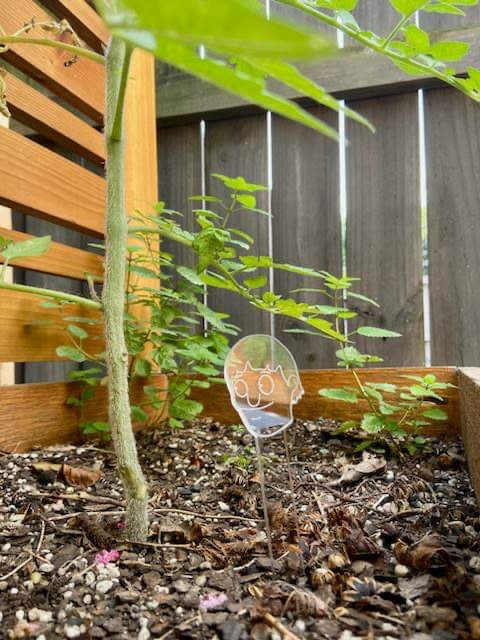 Garden Stake set of 5