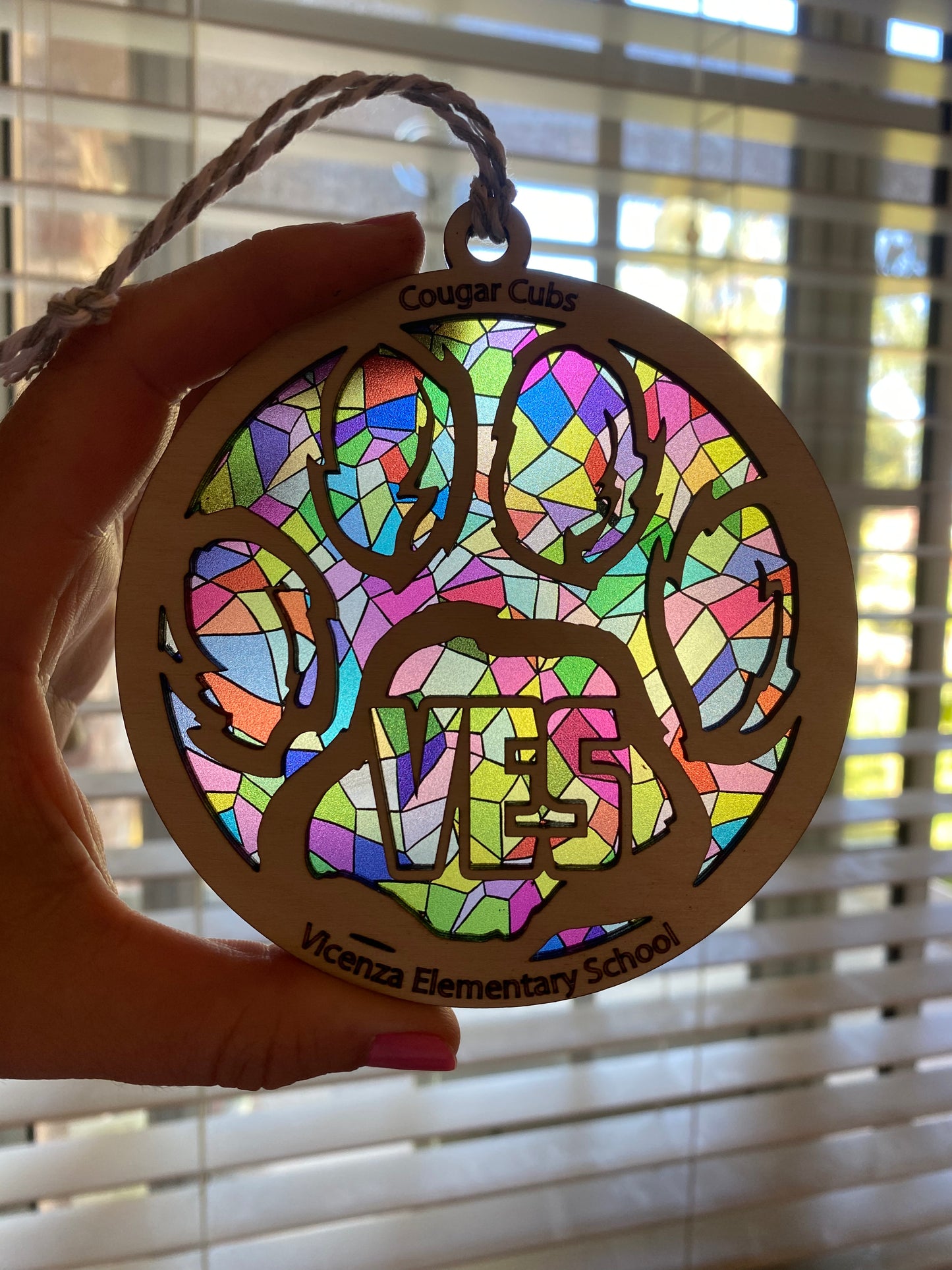 School Spirit Sun Catcher