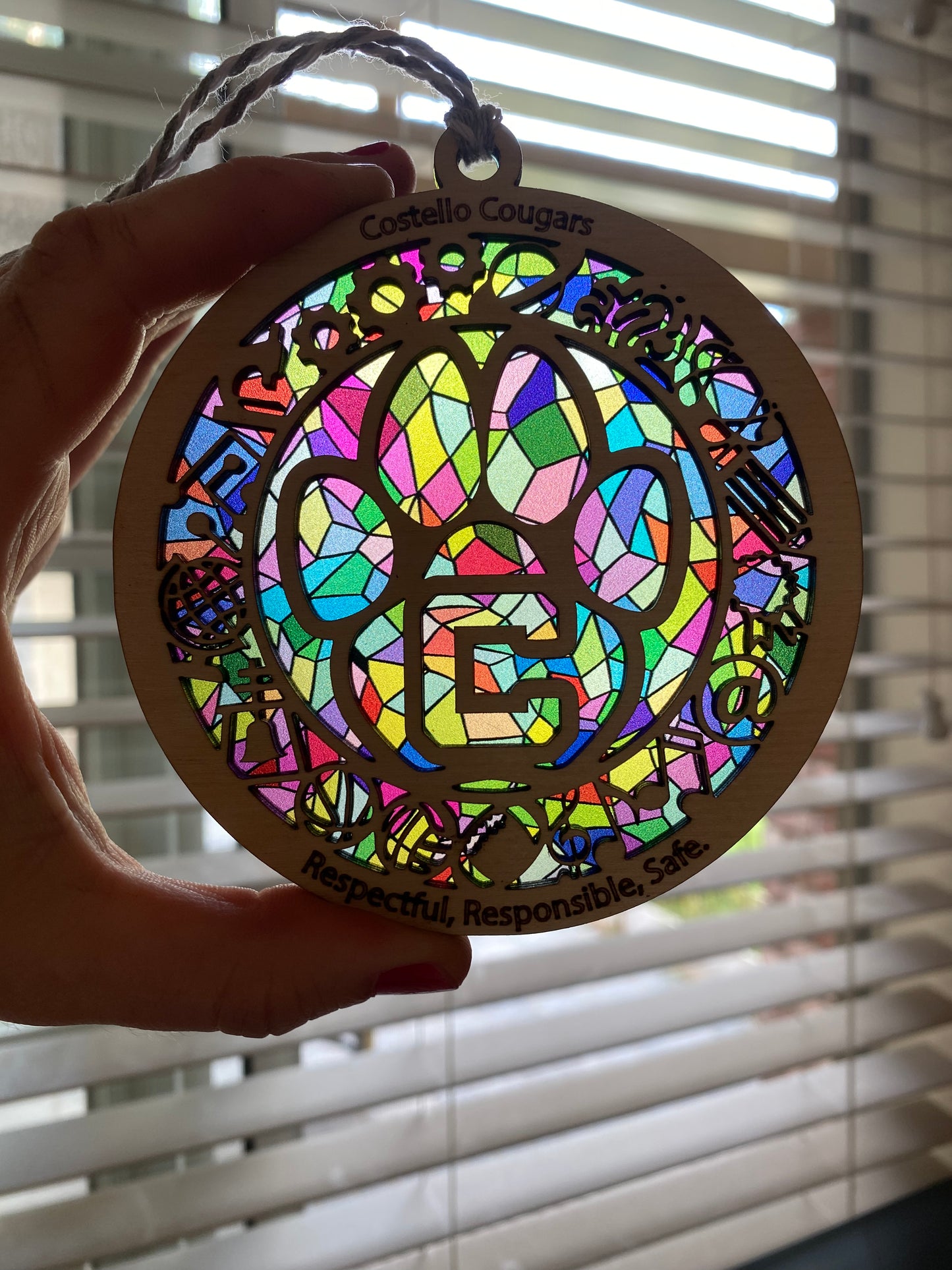 School Spirit Sun Catcher