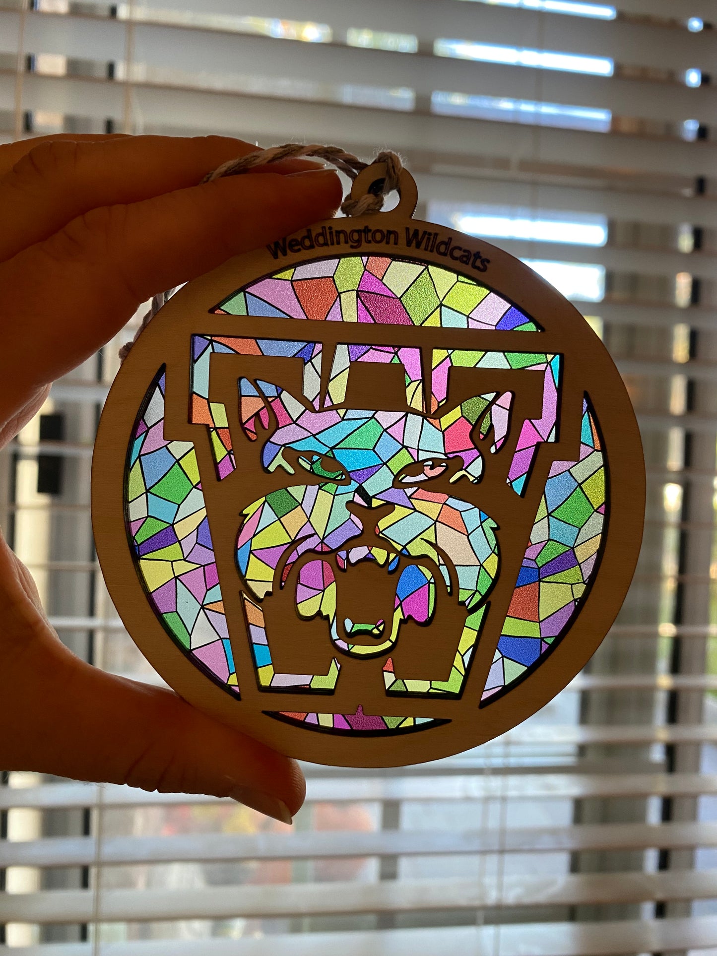 School Spirit Sun Catcher