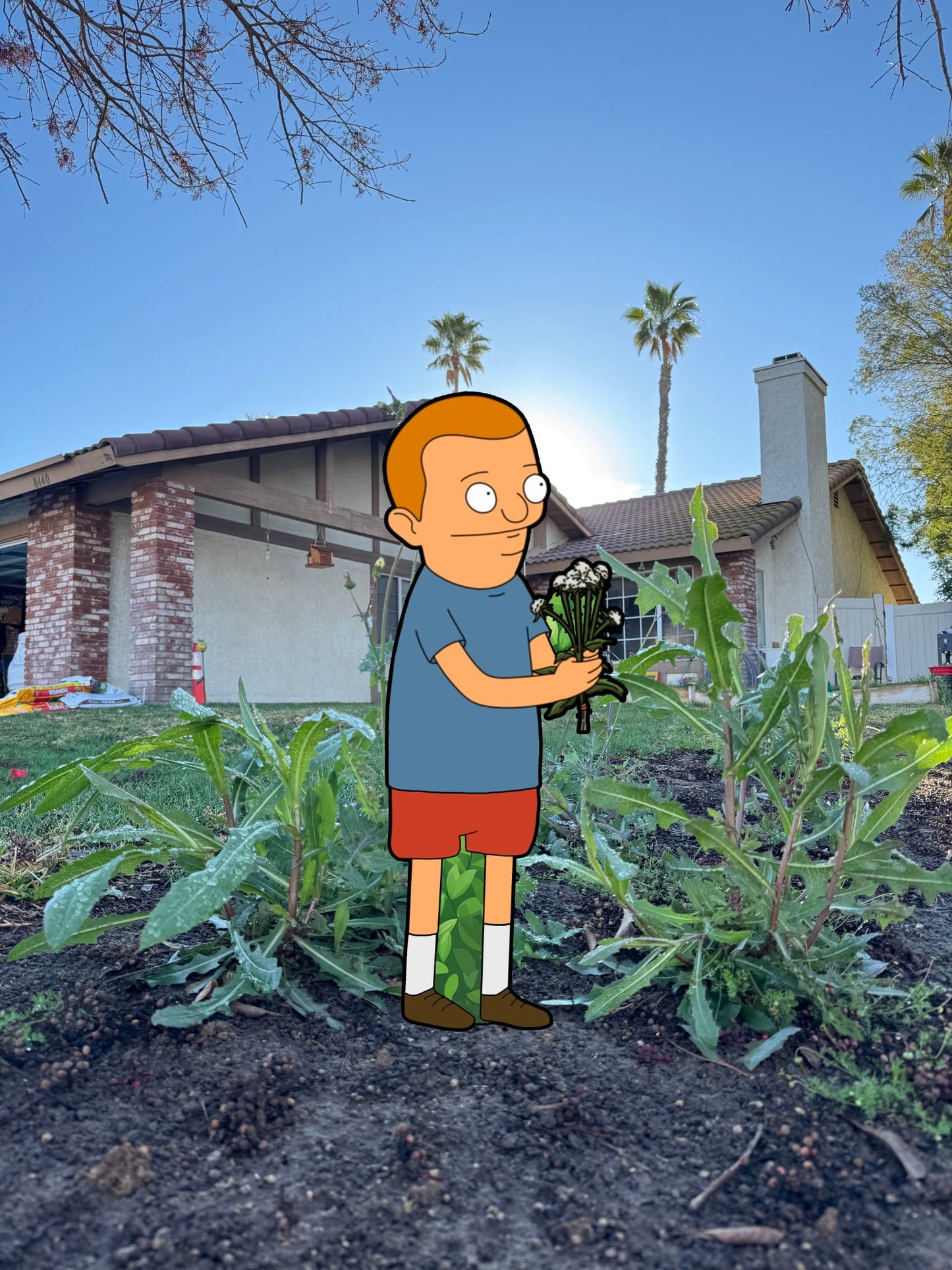 Garden Buddies
